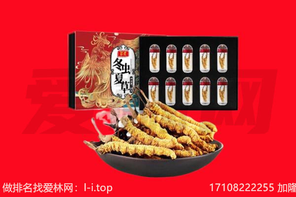 哈密市回收虫草.jpg